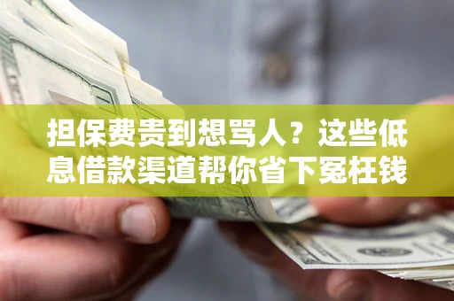 济南担保费贵到想骂人？这些低息借款渠道帮你省下冤枉钱