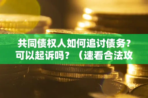 济南共同债权人如何追讨债务？可以起诉吗？（速看合法攻略）